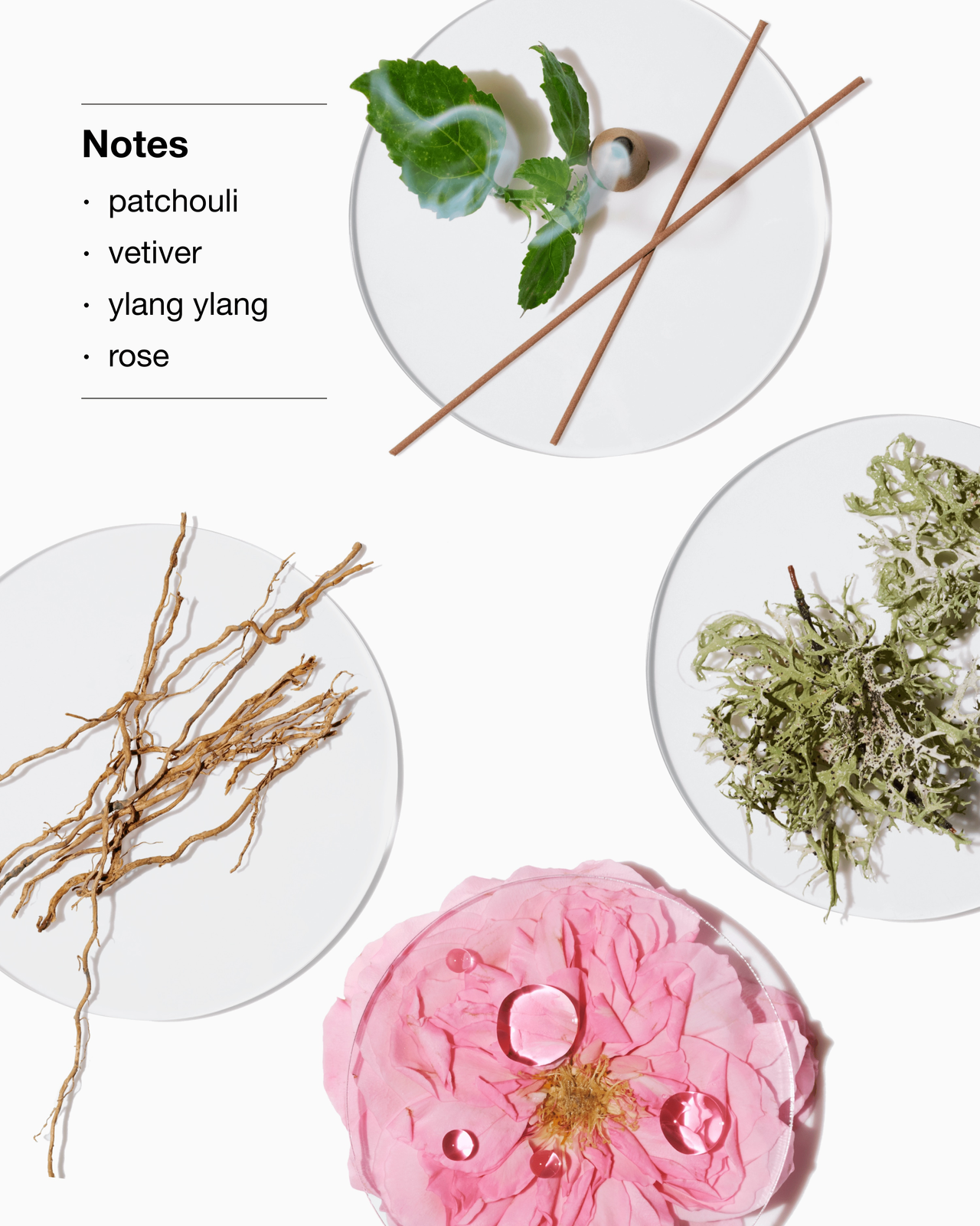 Clinique Aromatics Elixir Body Smoother 200ml