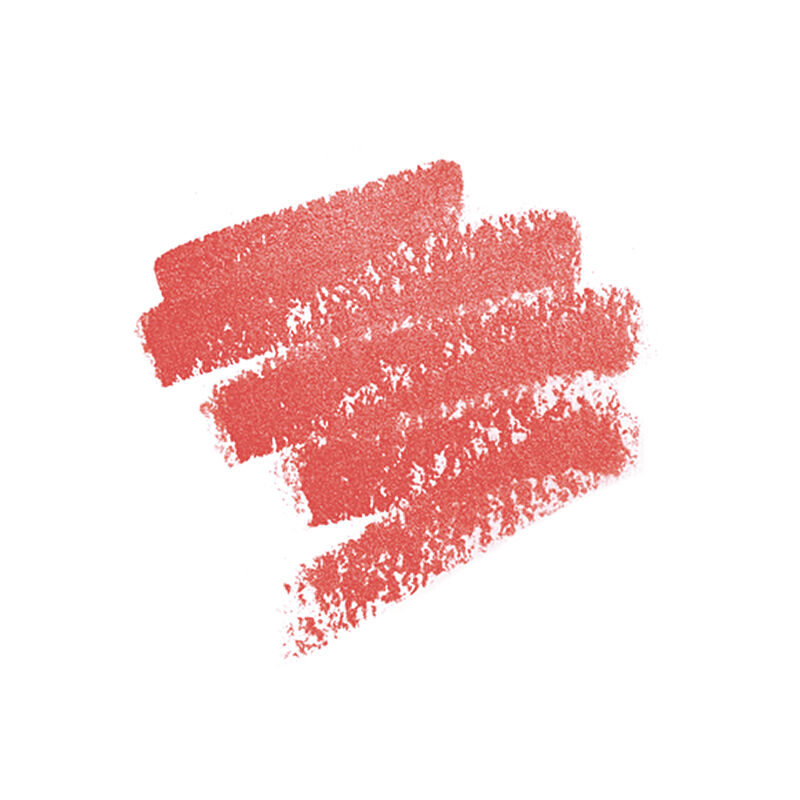 MAKE UP FOR EVER Artist Lip Blush 300