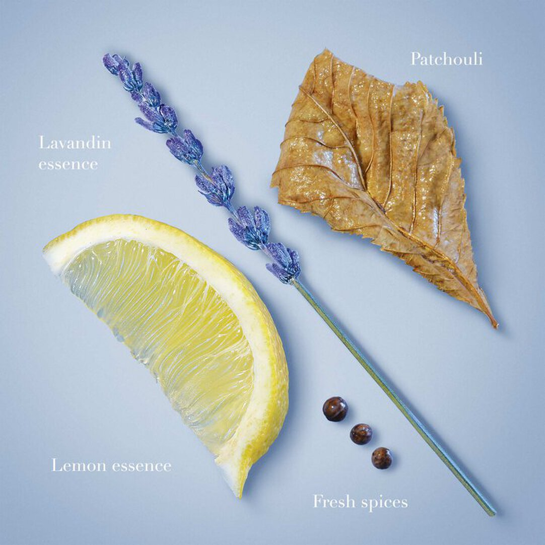 Giorgio Armani Acqua Di Gio Profondo EDT 50ml