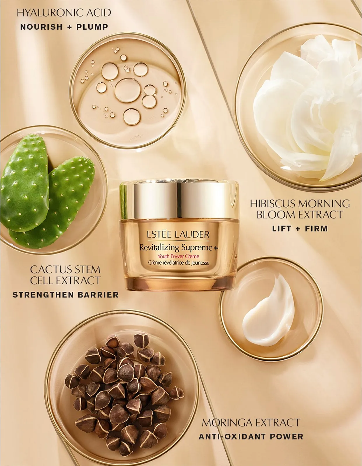 Estee Lauder Revitalizing Supreme+ Cell Power Creme  50ml