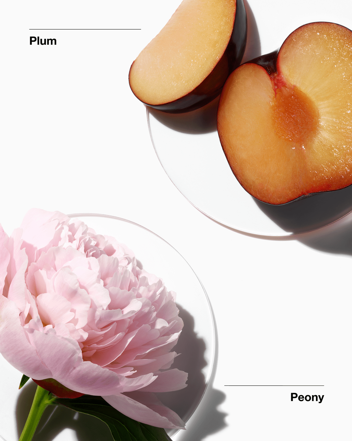 Clinique My Happy Peony Picnic Eau De Parfum 100ml