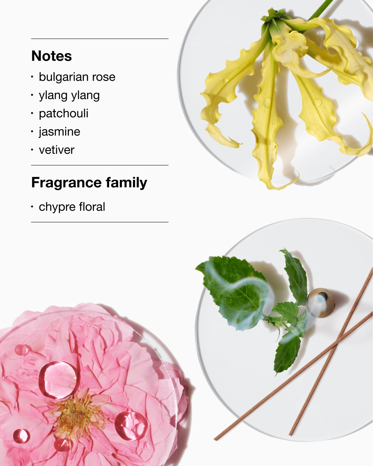 Clinique Aromatics Elixir Eau de Parfum Spray 45ml