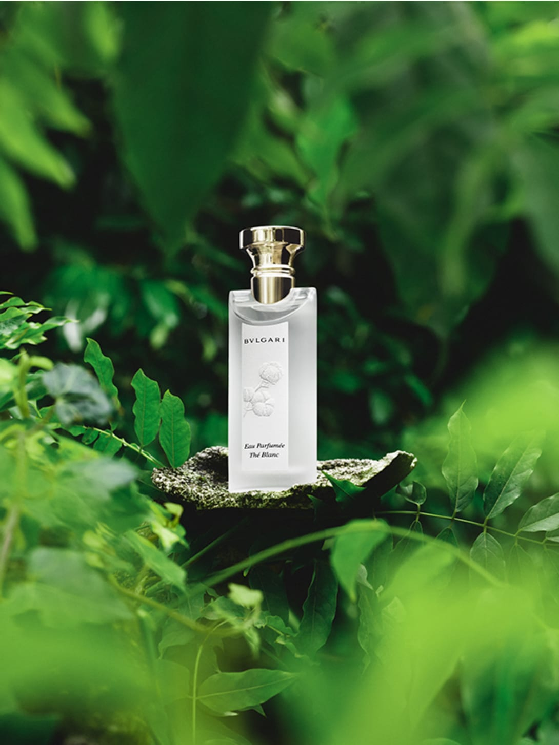 Bvlgari Eau Parfumee The Blanc EDT 75ml