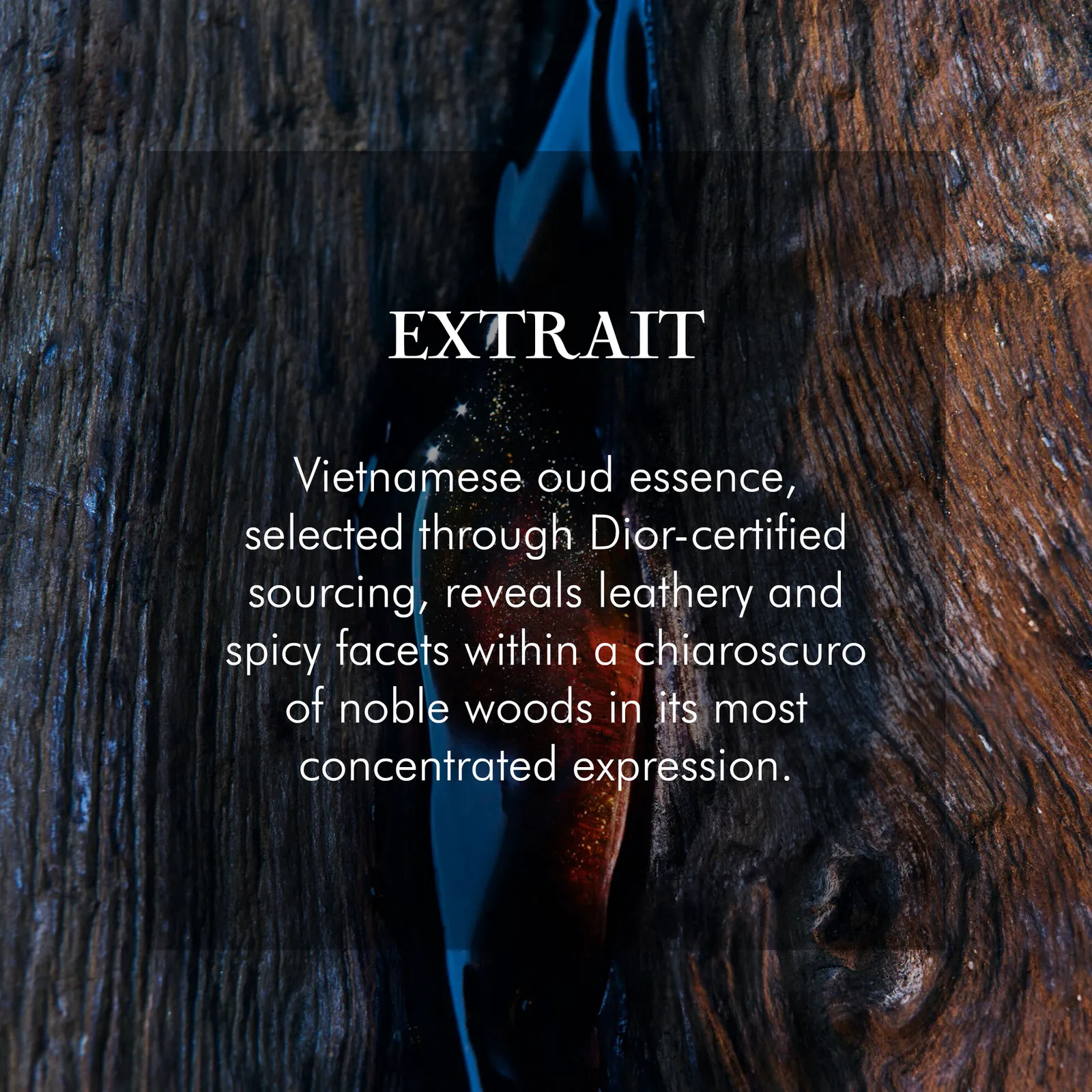 Dior Sauvage Extrait De Parfum 50ml