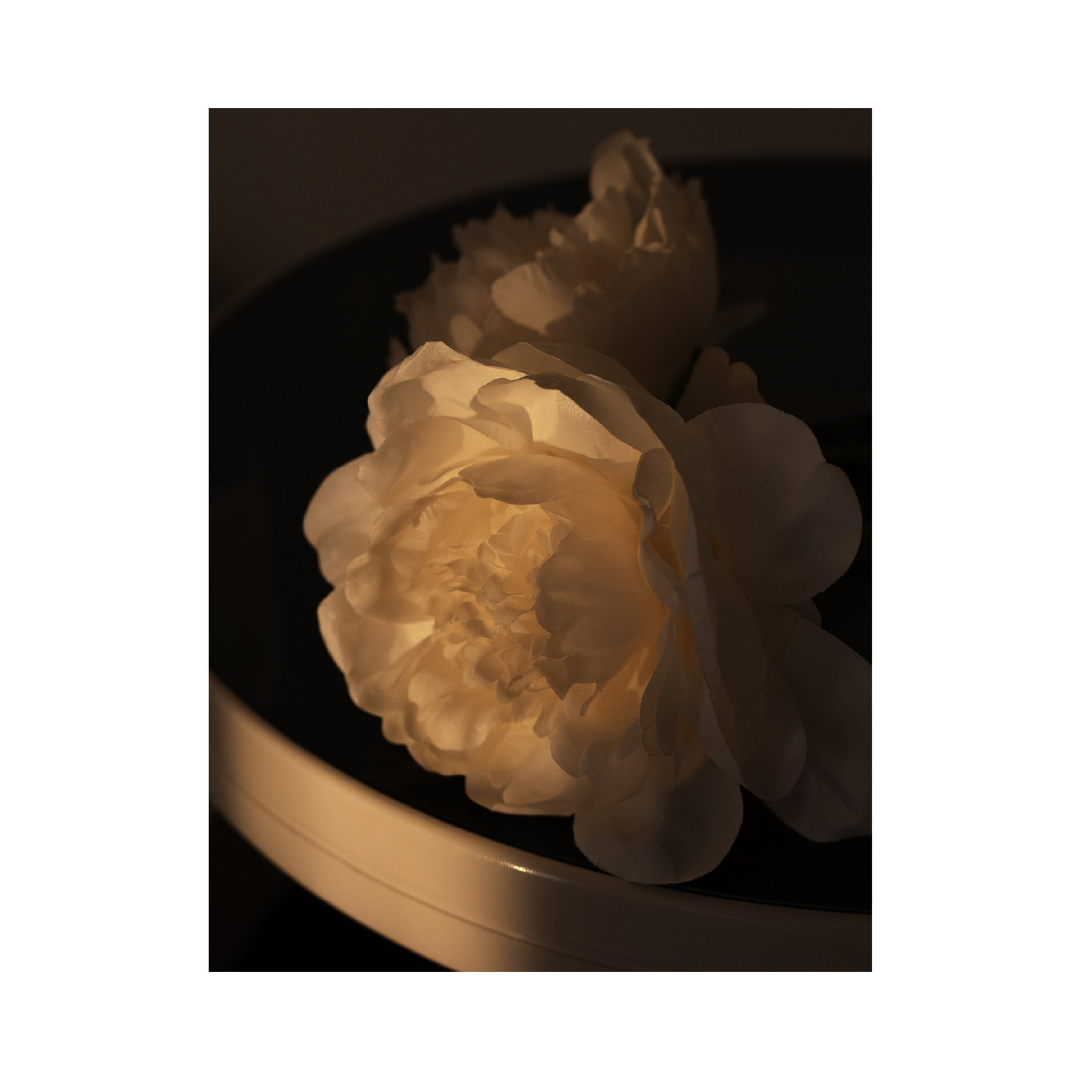 EX NIHILO Lust In Paradise Extrait De Parfum 50ml