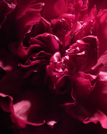 Tom Ford Oud Voyager EDP 250ml