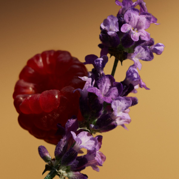 Burberry Goddess Parfum 50ml