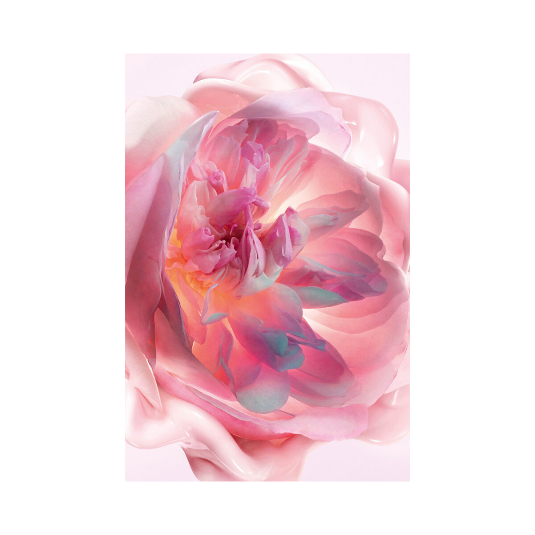 Dior Miss Dior Melt-In Hand Cream 50ml