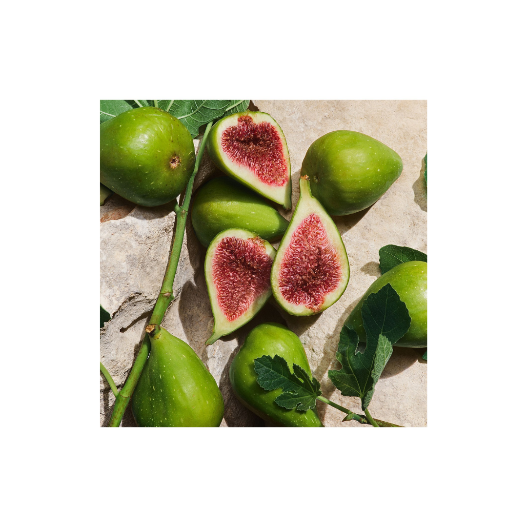 Dolce & Gabbana Light Blue Capri In Love Pour Homme EDP 100ml