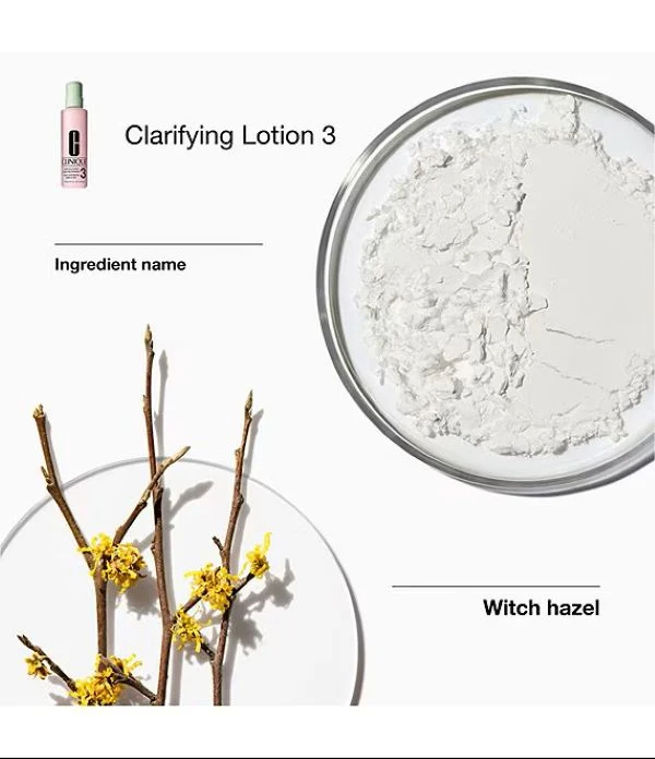 Clinique Great Skin Everywhere: For Combination Oily Skin 6-Piece Set - 3
