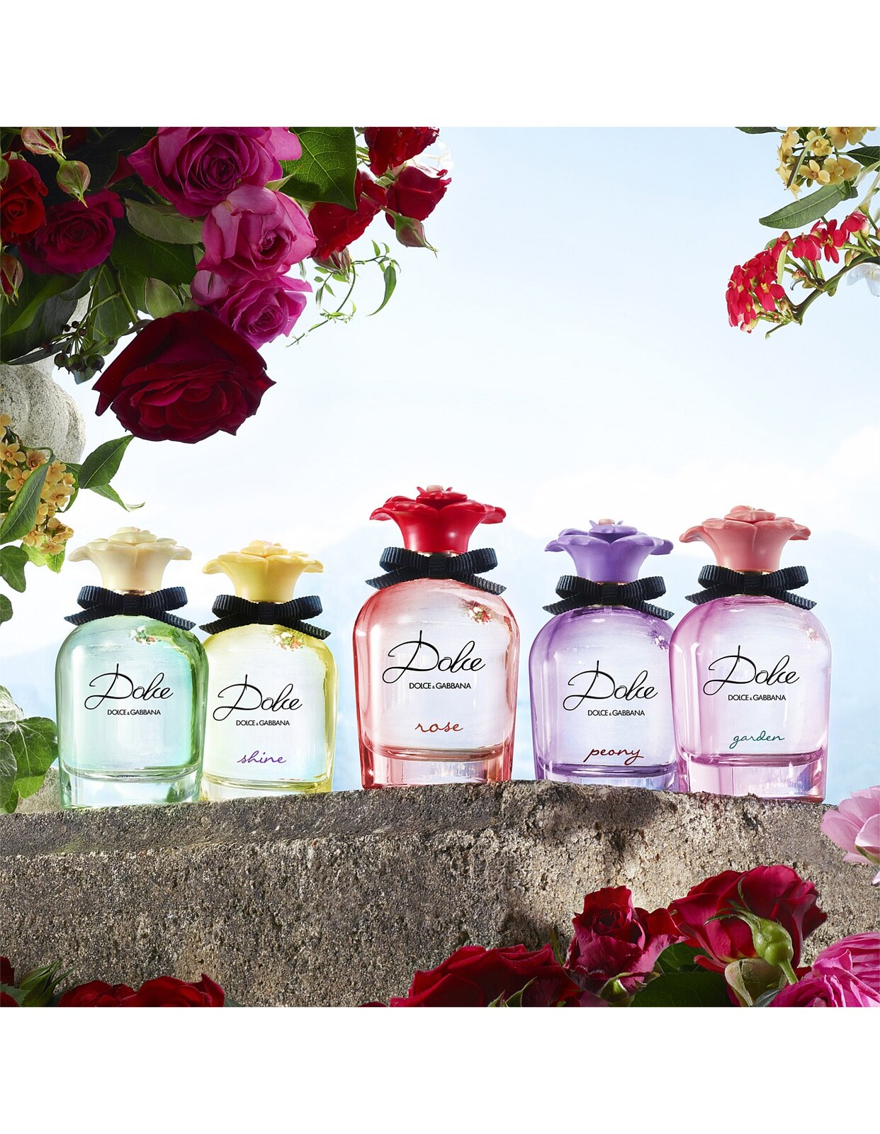 Buy Dolce & Gabbana Dolce Rose EDT 75ml | Online Australia | City Perfume
