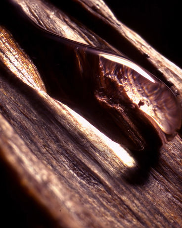 Tom Ford Oud Voyager EDP 30ml