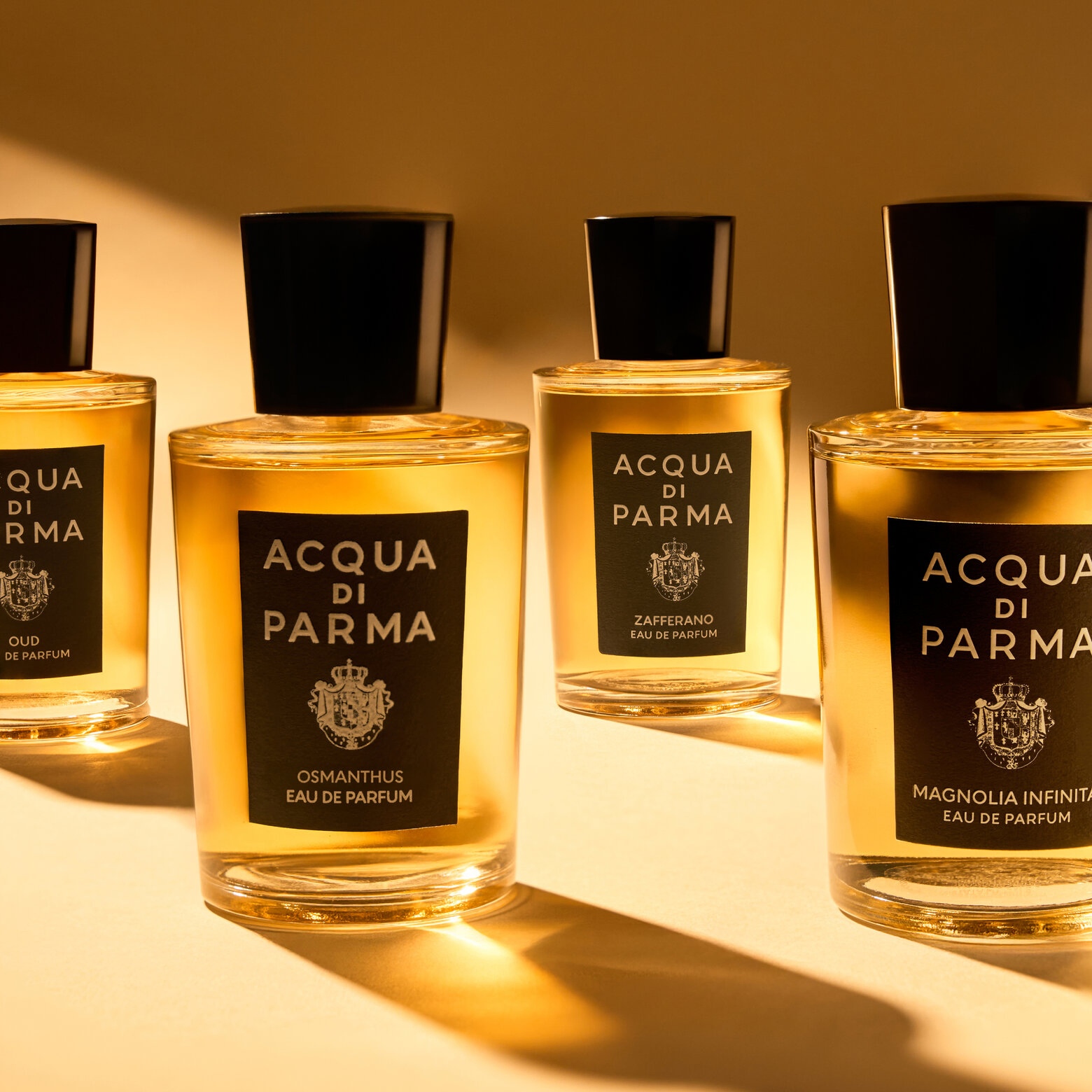 Acqua Di Parma Signatures Of The Sun - Oud EDP 100ml