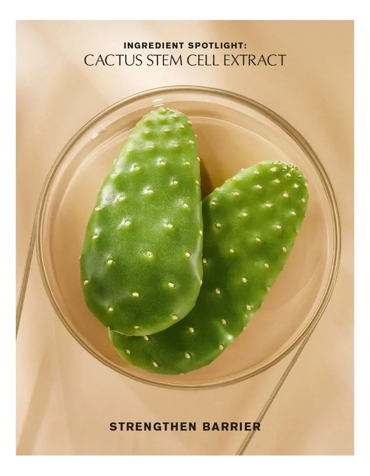 Estee Lauder Revitalizing Supreme+ Power Soft Creme 50ml