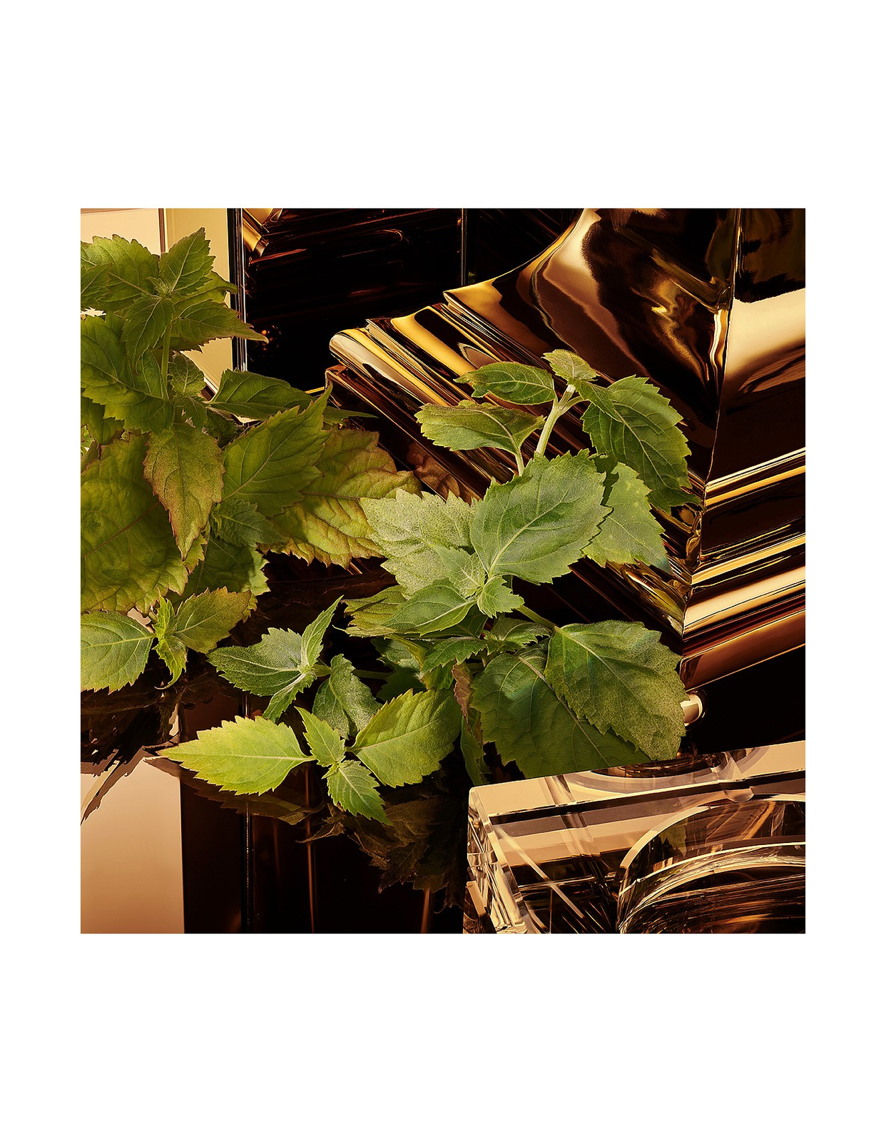 Dolce & Gabbana The One For Men Gold Edition EDP Intense 100ml