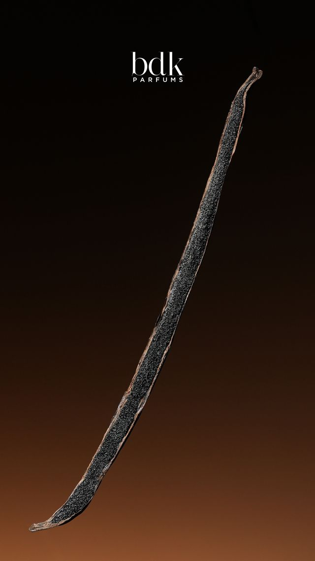 BDK Vanille Cavier Extrait EDP 100ml