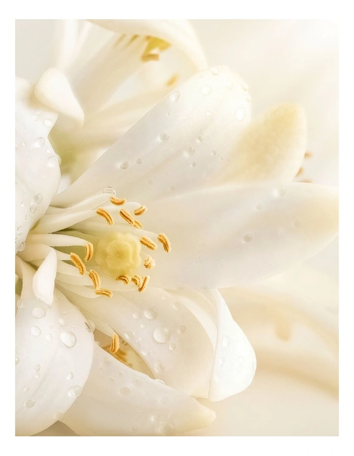 Estee Lauder Glimmer EDP 100ml