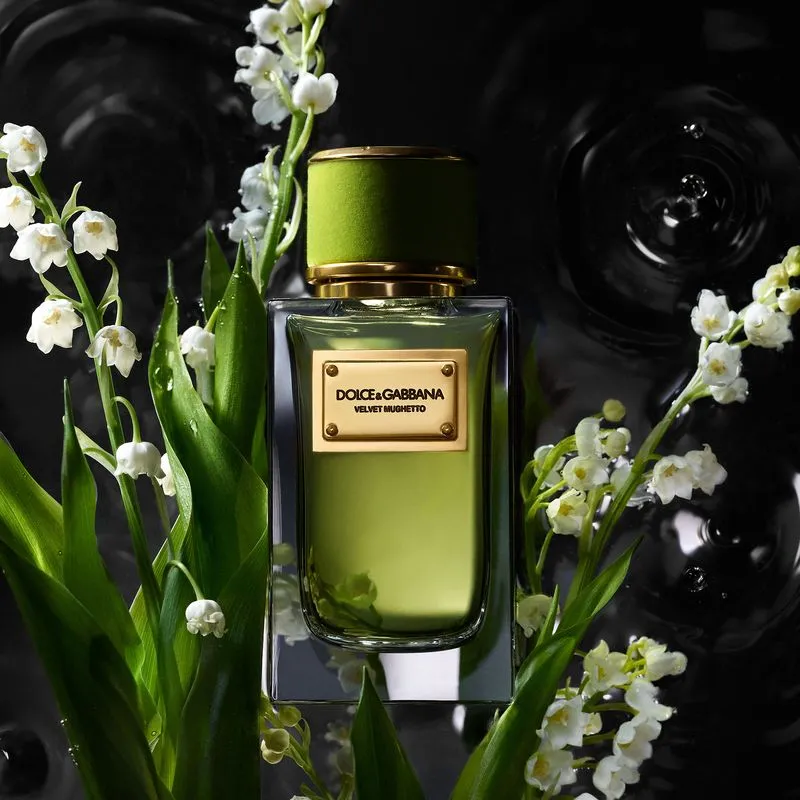 Dolce & Gabbana Velvet Mughetto EDP 100ml