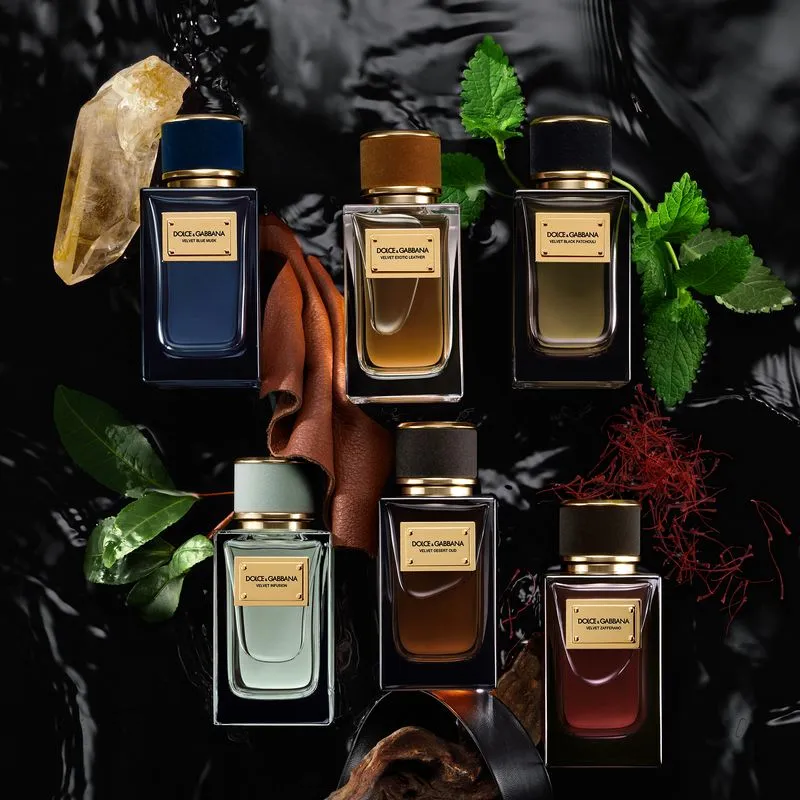 Dolce & Gabbana Velvet Zafferano EDP 100ml | City Perfume