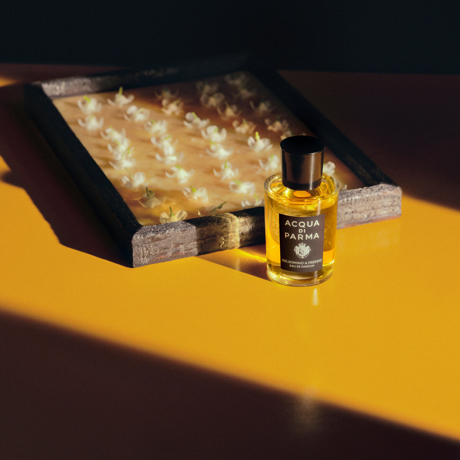 Acqua Di Parma Signatures Of The Sun - Gelsomino A Freddo EDP 100ml