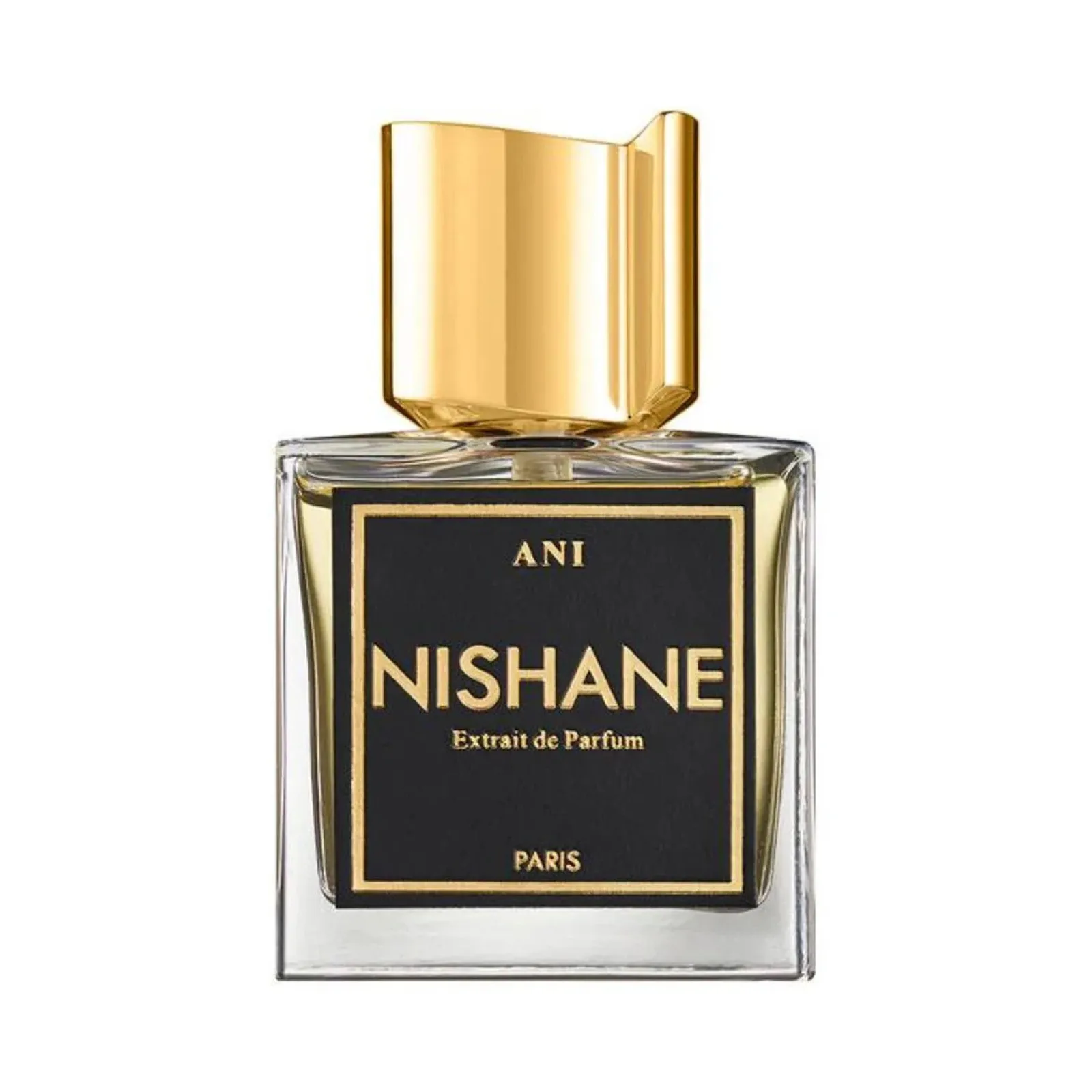 Nishane ANI Extrait De Parfum 100ml