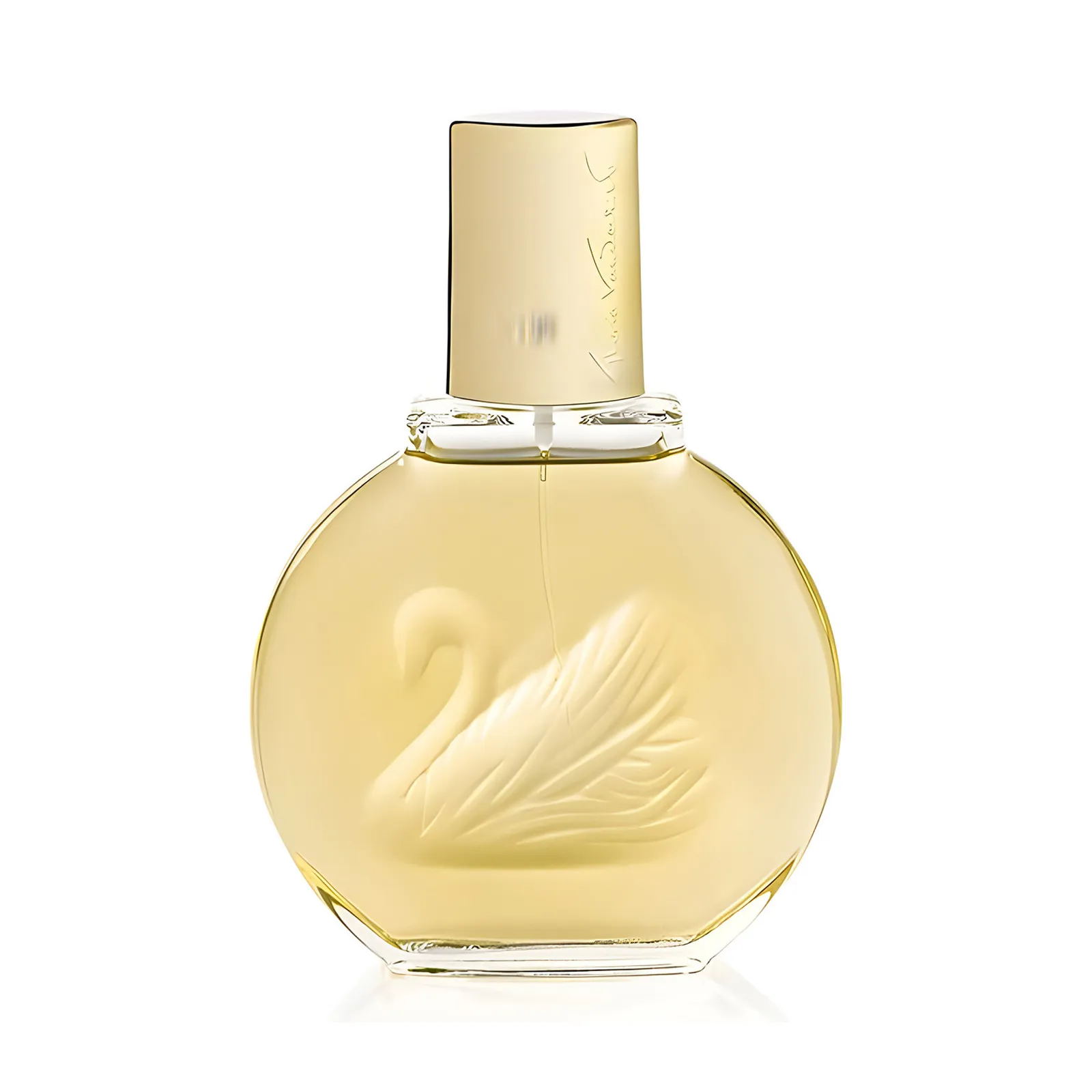 Gloria Vanderbilt Vanderbilt EDT 100ml