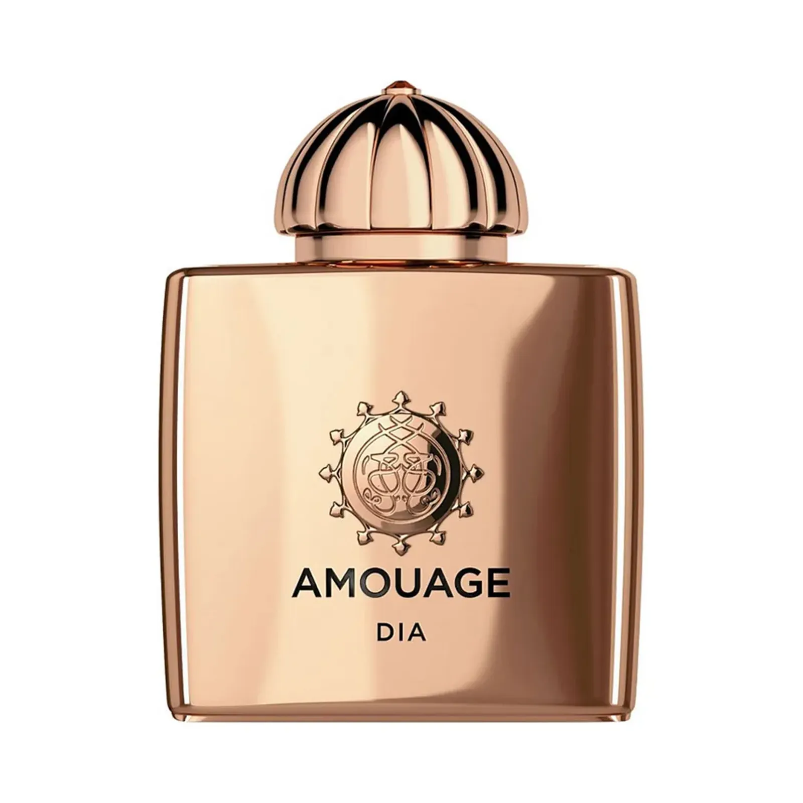 Amouage DIA Women EDP 100ml