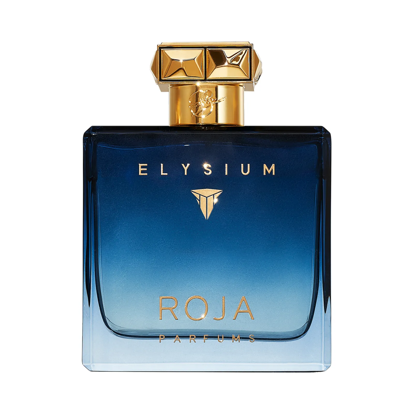 Roja Elysium Pour Homme Cologne 100ml