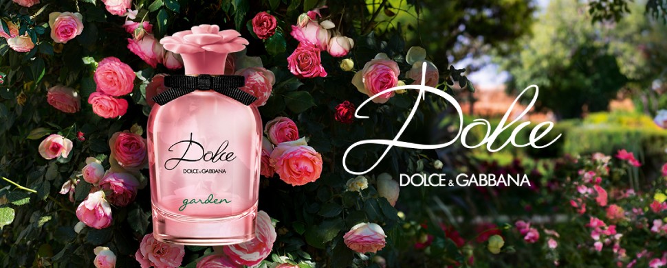 8 Best Dolce & Gabbana Perfumes | City Perfume