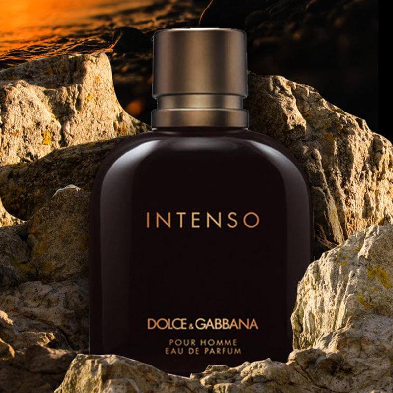 Dolce and Gabbana Men's Perfume