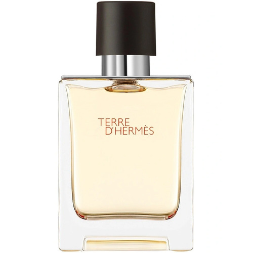 Hermes Terre d'Hermes EDT 100ml