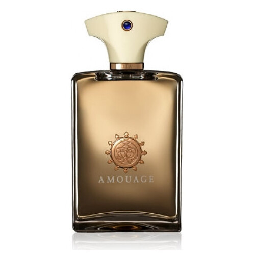 Amouage DIA Men EDP 100ml