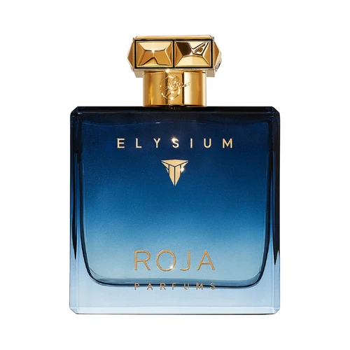 Roja Elysium Pour Homme Cologne 100ml