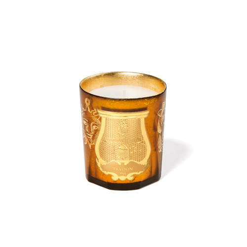 Trudon Spella Christmas 2022 Candle 270g