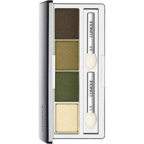 Clinique All About Shadow Quad 05 On Safari 2.2g