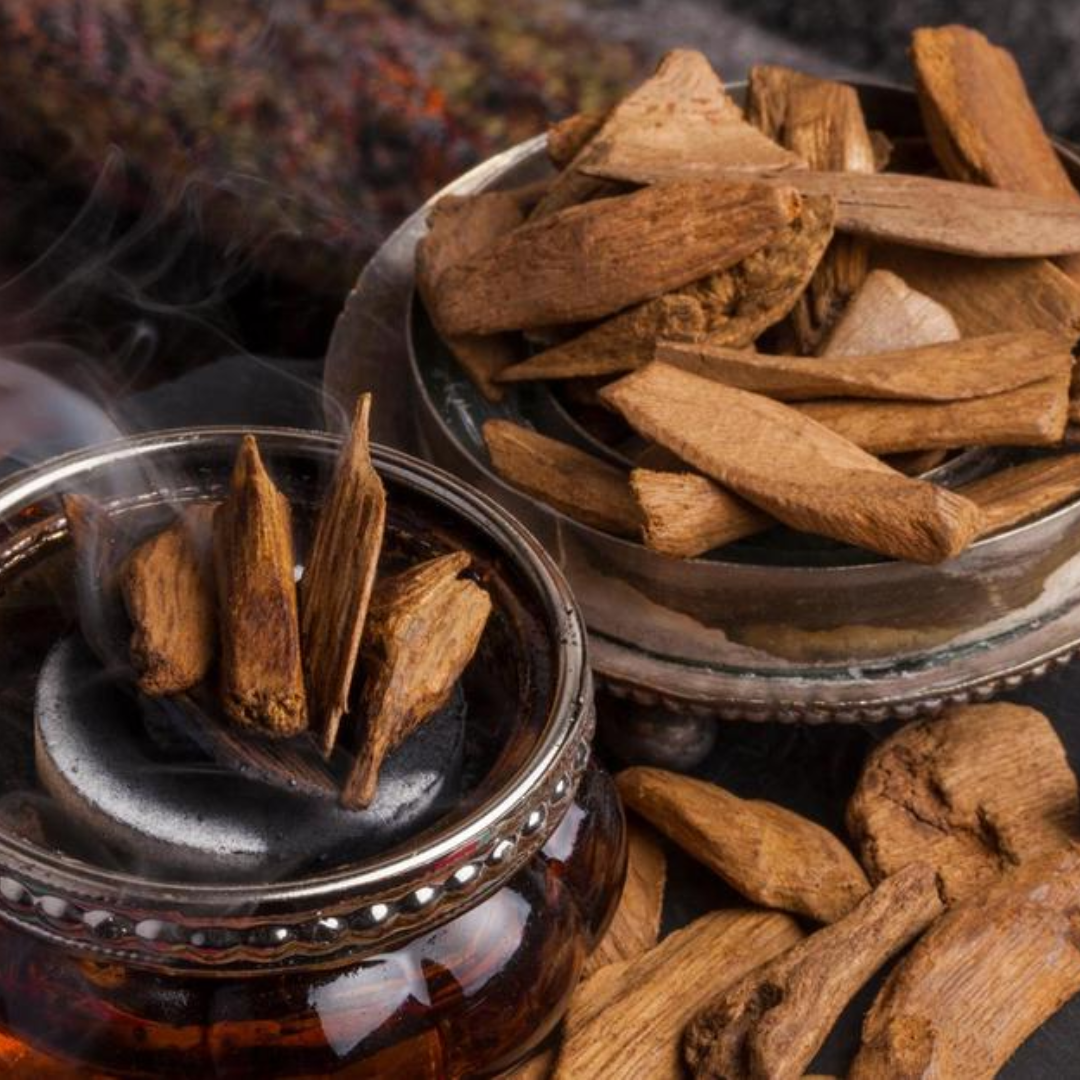 Things To Know About Oud